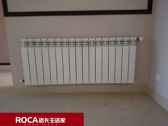 \南京進口暖氣片壁掛爐 明裝暖氣片 中央凈水